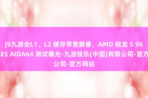 j9九游会L1、L2 缓存带宽翻番，AMD 锐龙 5 9600X ES AIDA64 测试曝光-九游娱乐(中国)有限公司-官方网站