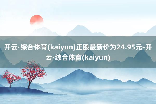 开云·综合体育(kaiyun)正股最新价为24.95元-开云·综合体育(kaiyun)