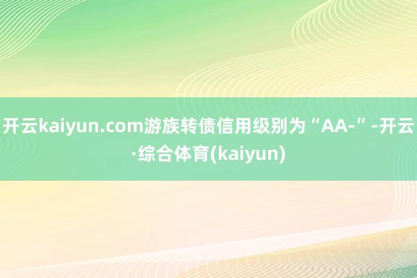 开云kaiyun.com游族转债信用级别为“AA-”-开云·综合体育(kaiyun)