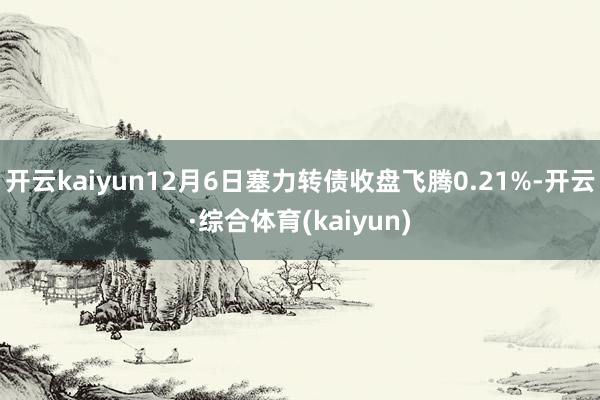 开云kaiyun12月6日塞力转债收盘飞腾0.21%-开云·综合体育(kaiyun)