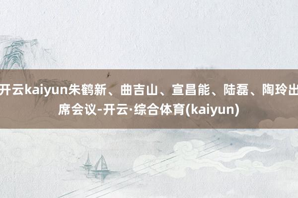 开云kaiyun朱鹤新、曲吉山、宣昌能、陆磊、陶玲出席会议-开云·综合体育(kaiyun)