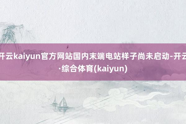 开云kaiyun官方网站国内末端电站样子尚未启动-开云·综合体育(kaiyun)