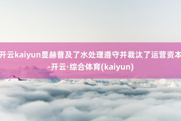 开云kaiyun显赫普及了水处理遵守并裁汰了运营资本-开云·综合体育(kaiyun)